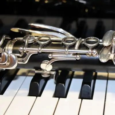 thierry besnard formation musicale