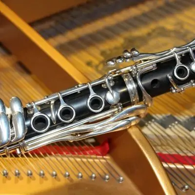 thierry besnard photo pochette cd duo marie astrid arnal piano clarinette